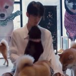 [NCT칠프] 시바견에게 <b>공격</b>받는 재혀니 ㅈㄴ 귀여워