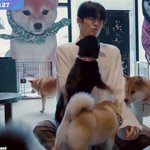 [NCT칠프] 시바견보다 못한 <b>인생</b>…