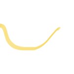 [모두드루와] 렌즈 초보 <b>드러</b>와바