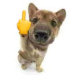 <b>선택과목</b> 이렇게 ㅇㄸ 괜찮음?