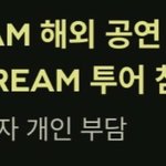 [NCT드림] 해외<b>투어</b> 할려나보다