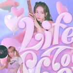 국내<b>팬</b> 에스파 순위