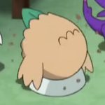 키 몇 <b>cm</b> 이상 올려 말해야 사기라고 봄?