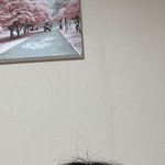 이거 머리 <b>상한</b>고야????