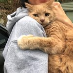 <b>유미</b>의세포들 개재밌다 진짜;