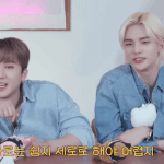 [스키즈] 돼끼서창빈