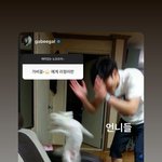 리정 인스타에 가비 <b>무물</b>