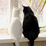 와 다 <b>탈판</b>했나봐