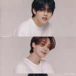 세븐틴은 여러모로 신기한 그룹인듯