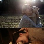 유기견 입양한 선한 영향력 가진 연예인들