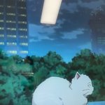 <b>식빵</b>고앵은 최고