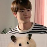 방탄 진 <b>햄스터</b>같아