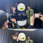 뷔 <b>비율</b>