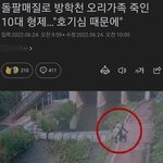[드루와] 얘들아 <b>오리</b> 가족 죽인 10대 잡혔대