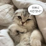 [댓글부탁해] 짝사랑 하는데 성공하는법 있니