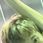 [NCT칠프] 아니 근데 조명땨메 갈<b>머로</b> 보이는 듯