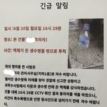 [이것좀봐줘] 미친거 아님? 이딴짓을 왜하는거임