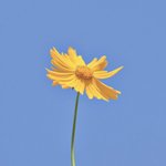 [꼭조언부탁] 27살 취준생 앞이 안보여 <b>막막</b>하네요..