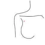 가슴에 이거 뭐야?