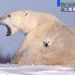 <b>졸사</b> 공주컨셉 어떰캔디