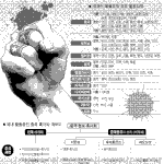 [좋은생각] 한국에 들어온 해외 범죄 <b>조직</b>들입니다