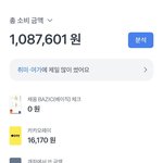 [ㅈㄱㄴ] <b>이번달</b>에 쓴거 보니까 ㅈㄴ부자같노
