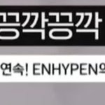 [엔하이픈] <b>컴백쇼</b> 공포체험 하나봐