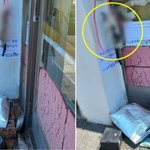 대롱대롱 목 매달린 ‘새끼 고양이’…초등생들 충격