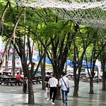 투바투 <b>수빈</b> 범규 목격담 떴어