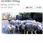 <b>미국</b> 대통령 중에 제일 유명한 <b>사람</b>은 누구일까