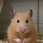 간호조무사 실습하는데 <b>별</b> <b>탈</b> 없음 좋겠다