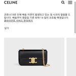 명품백 셀린느vs<b>디올</b> 뭐살까