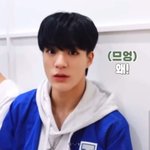 [NCT드림] 눈 땡글 므엉 <b>강쥐</b>