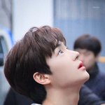 이재현 <b>무새</b> 등장