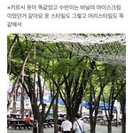 내 씨피 어제 놀이동산 데이트 감
