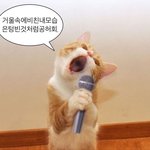 정시러한테 옷 <b>사치</b>지..?