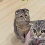 [이것좀봐줘] 이거 사이버<b>모욕죄</b>나 명예훼손으로 고소 돼?