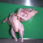 [드루와] 과외쌤 미친거 아냐?