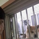 <b>고딩</b><b>언니</b>들제발도와