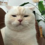 <b>영희</b>님