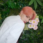 [더보이즈] 더비들아 이런 머리<b>색</b> 뭘까..?