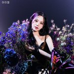 개인 티저 공개된 아이리스 멤버