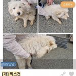 [댓글부탁해] 엥 김고은 이거 뭐임 ..?