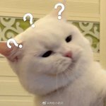 <b>영희</b>옵빠
