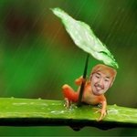 몸친데 <b>댄스학원</b> 다니는 사람 있음?