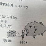 [드루와] 플랑크톤 <b>지대</b>웃겨