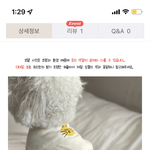 [댓글부탁해] 강아지 골라줘 ㅠㅠㅠ