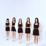 르세라핌 데이즈드 화보 컨셉 어떤거 같아?