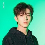 취향 소나무 남돌 3명 있음