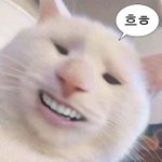 <b>오빵</b>이 메롱